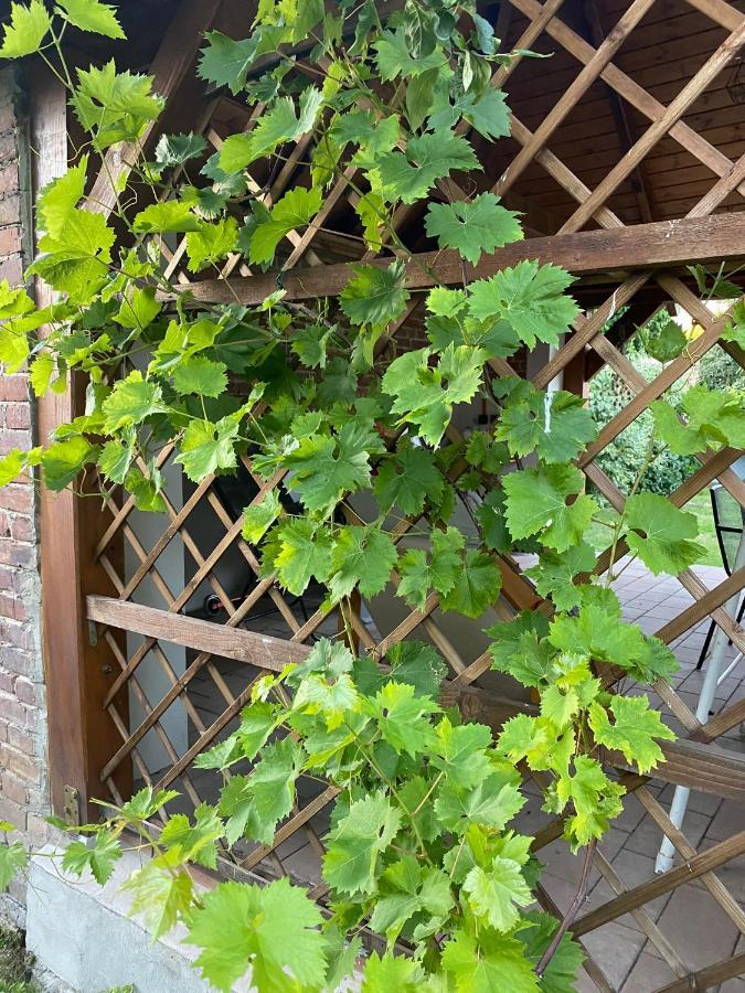 Apartament Z Ogrodem Harcerska 4 Zamość 外观 照片